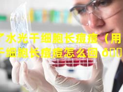 用了水光干细胞长痘痘（用了水光干细胞长痘痘怎么回 🌴 事）